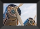 tl_files/Stratur/content_images/home_startup_management.jpg